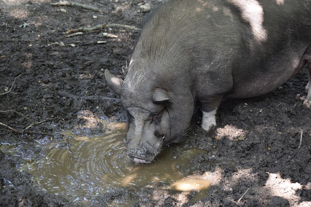回顾两位选 回顾两位选